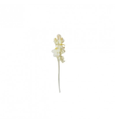 /L929-CRM Rametto narciso CREMA