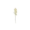 /L929-CRM Rametto narciso CREMA