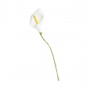 CK761-B Calla polyform BIANCO