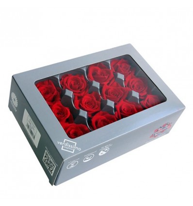 3150036 Conf. 12pz rose mini capullo d.4 stabilizz. ROSSO (RSM/1200)