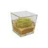 /CUBO-60-GEL-VE Cubo vtr 6x6x6 c/gel e rosa VERDE