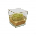 /CUBO-60-GEL-VE Cubo vtr 6x6x6 c/gel e rosa VERDE