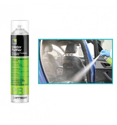 /29491 Spray igienizzante 600ml interior purifer