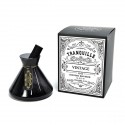 00756 Diffus.essenza vtr conico h12,5 c/bacchetto 120ml NERO lime e neroli