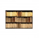 /B1964-1 Sciarpa organza 70x140 LIBRERIA