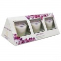 FR 1543 Set 3pz vasetto picc. d.4,5x6h con candela e pietre AMETISTA (lavanda)